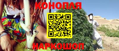 сатива Кимры