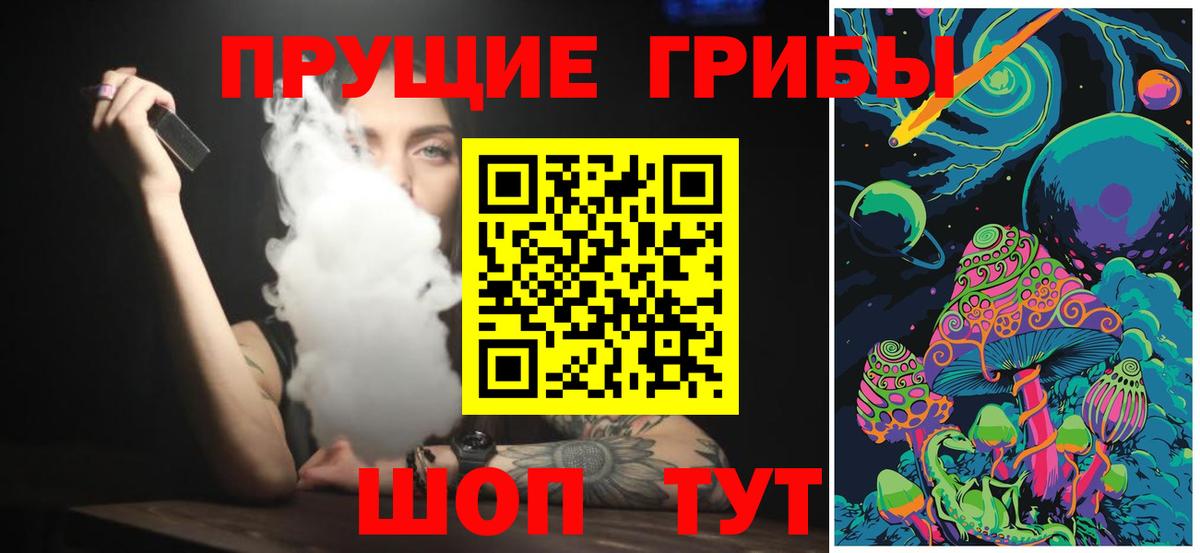 Сосновый Бор  Галлюциногенные грибы мухоморы  Вход с VPN 